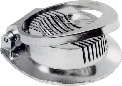 570012.JPG
